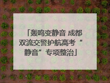 轰鸣变静音 成都双流交警护航高考“静音”专项整治