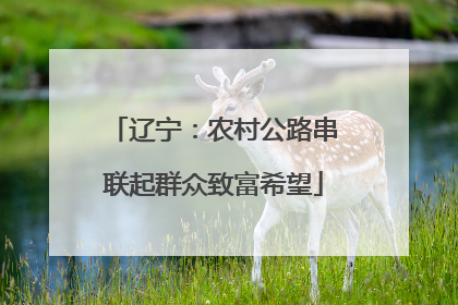辽宁：农村公路串联起群众致富希望