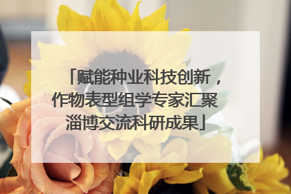 赋能种业科技创新，作物表型组学专家汇聚淄博交流科研成果