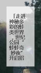 走进神秘多彩的蛙类世界，世纪公园“蛙蛙奇妙夜”开启招募，暑假共18场