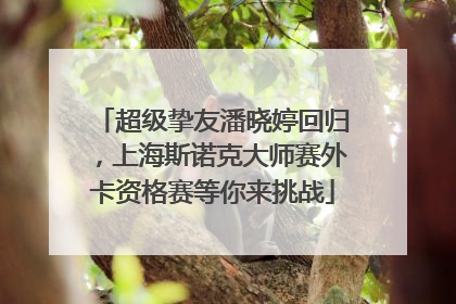 超级挚友潘晓婷回归，上海斯诺克大师赛外卡资格赛等你来挑战
