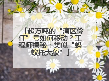 超万吨的“湾区伶仃”号如何移动？工程师揭秘：类似“蚂蚁托大象”