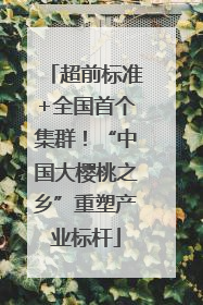 超前标准+全国首个集群！“中国大樱桃之乡”重塑产业标杆