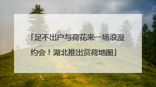 足不出户与荷花来一场浪漫约会！湖北推出赏荷地图