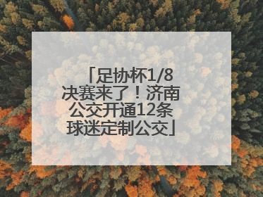 足协杯1/8决赛来了！济南公交开通12条球迷定制公交