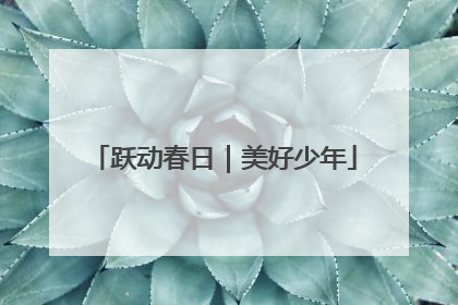 跃动春日｜美好少年