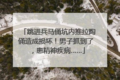 跳进兵马俑坑内推拉陶俑造成损坏！男子抓到了，患精神疾病……