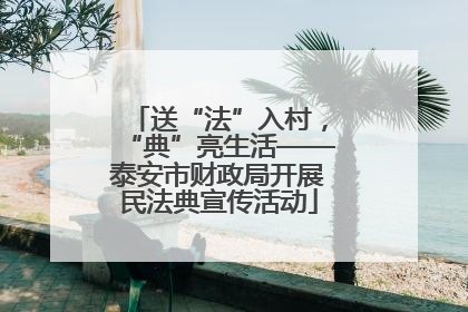 送“法”入村，“典”亮生活——泰安市财政局开展民法典宣传活动