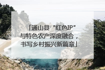 通山县“红色IP”与特色农产深度融合，书写乡村振兴新篇章