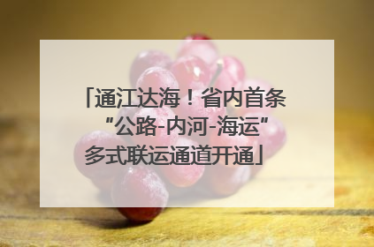 通江达海！省内首条“公路-内河-海运”多式联运通道开通