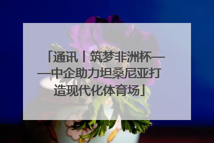 通讯丨筑梦非洲杯——中企助力坦桑尼亚打造现代化体育场