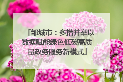 邹城市：多措并举以数据赋能绿色低碳高质量政务服务新模式