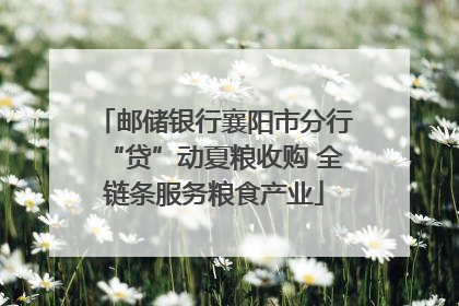 邮储银行襄阳市分行“贷”动夏粮收购 全链条服务粮食产业