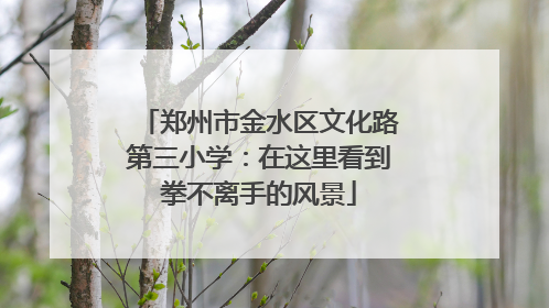郑州市金水区文化路第三小学：在这里看到拳不离手的风景