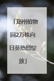 郑州植物园2万株向日葵热烈绽放