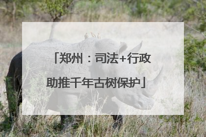 郑州：司法+行政助推千年古树保护