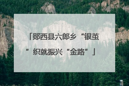郧西县六郎乡“银茧”织就振兴“金路”