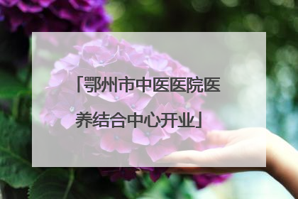 鄂州市中医医院医养结合中心开业
