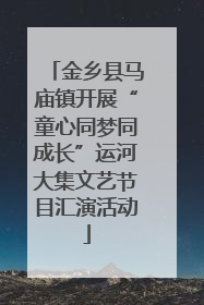 金乡县马庙镇开展“童心同梦同成长”运河大集文艺节目汇演活动