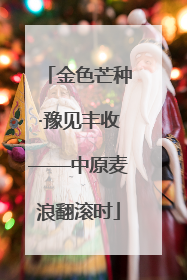 金色芒种·豫见丰收——中原麦浪翻滚时