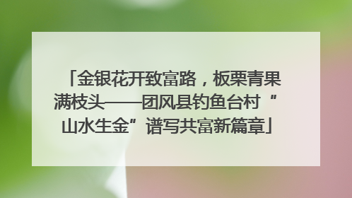 金银花开致富路，板栗青果满枝头——团风县钓鱼台村“山水生金”谱写共富新篇章