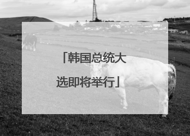 韩国总统大选即将举行