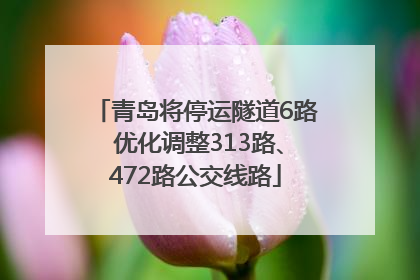 青岛将停运隧道6路 优化调整313路、472路公交线路