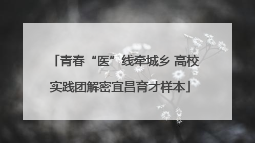 青春“医”线牵城乡 高校实践团解密宜昌育才样本