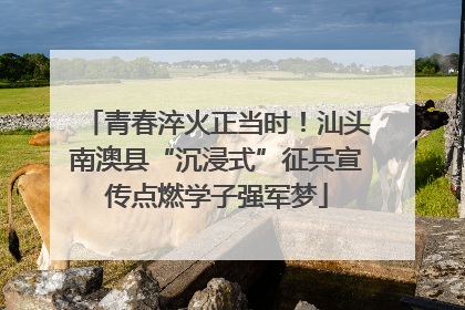 青春淬火正当时！汕头南澳县“沉浸式”征兵宣传点燃学子强军梦