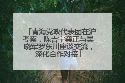 青海党政代表团在沪考察，陈吉宁龚正与吴晓军罗东川座谈交流，深化合作对接