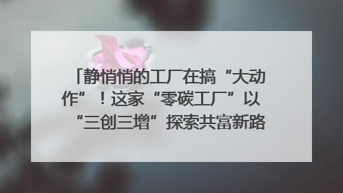 静悄悄的工厂在搞“大动作”！这家“零碳工厂”以“三创三增”探索共富新路径｜网络名人四川行