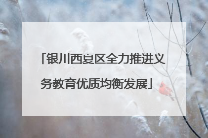 银川西夏区全力推进义务教育优质均衡发展
