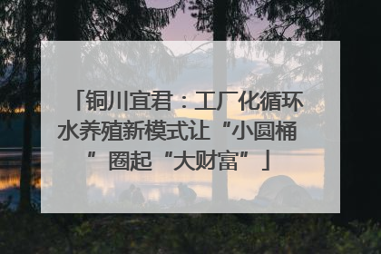 铜川宜君：工厂化循环水养殖新模式让“小圆桶”圈起“大财富”