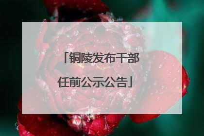 铜陵发布干部任前公示公告