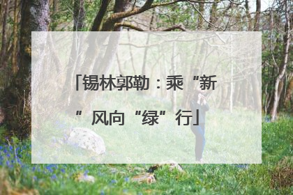 锡林郭勒：乘“新”风向“绿”行