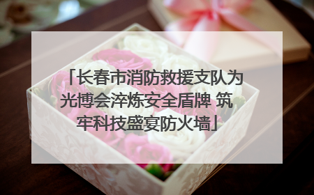 长春市消防救援支队为光博会淬炼安全盾牌 筑牢科技盛宴防火墙