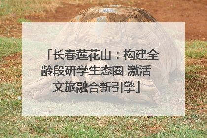 长春莲花山：构建全龄段研学生态圈 激活文旅融合新引擎
