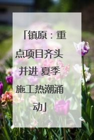 镇原：重点项目齐头并进 夏季施工热潮涌动