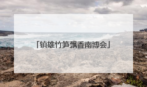 镇雄竹笋飘香南博会