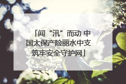 闻“汛”而动 中国太保产险丽水中支筑牢安全守护网