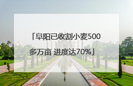 阜阳已收割小麦500多万亩 进度达70%