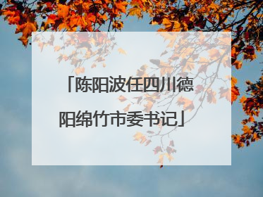陈阳波任四川德阳绵竹市委书记
