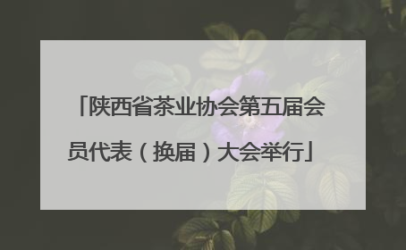 陕西省茶业协会第五届会员代表（换届）大会举行