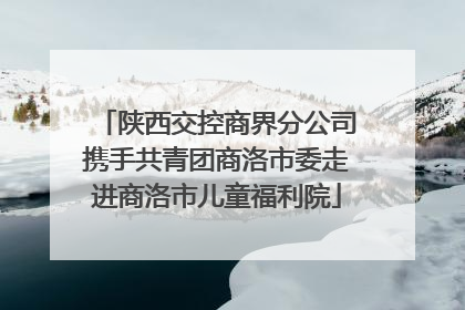 陕西交控商界分公司携手共青团商洛市委走进商洛市儿童福利院