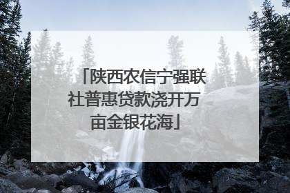 陕西农信宁强联社普惠贷款浇开万亩金银花海