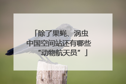 除了果蝇、涡虫 中国空间站还有哪些“动物航天员”