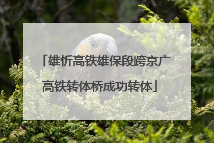 雄忻高铁雄保段跨京广高铁转体桥成功转体