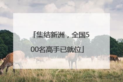 集结新洲，全国500名高手已就位