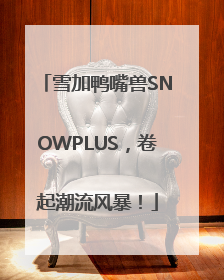 雪加鸭嘴兽SNOWPLUS，卷起潮流风暴！