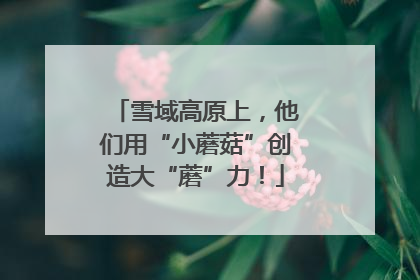 雪域高原上，他们用“小蘑菇”创造大“蘑”力！